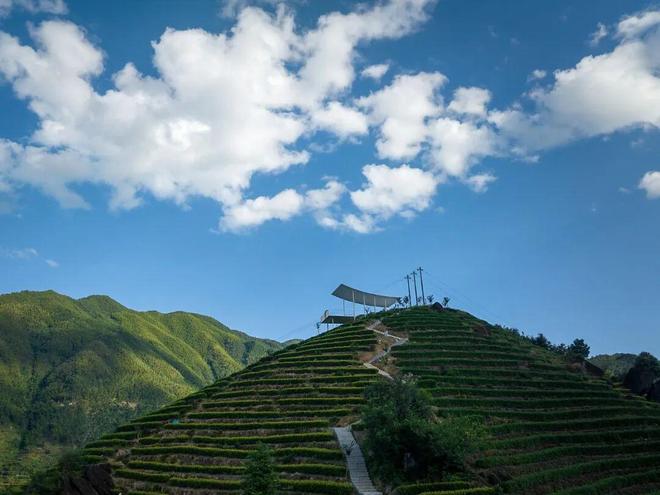 365体育唯一入口：衍述设计新作｜茶山之上的浮亭光影与时间的对话(图6)