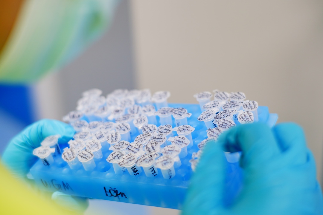 365体育唯一入口:领新任务、上新台阶粤港澳大湾区向“新”向“融”而行(图2)