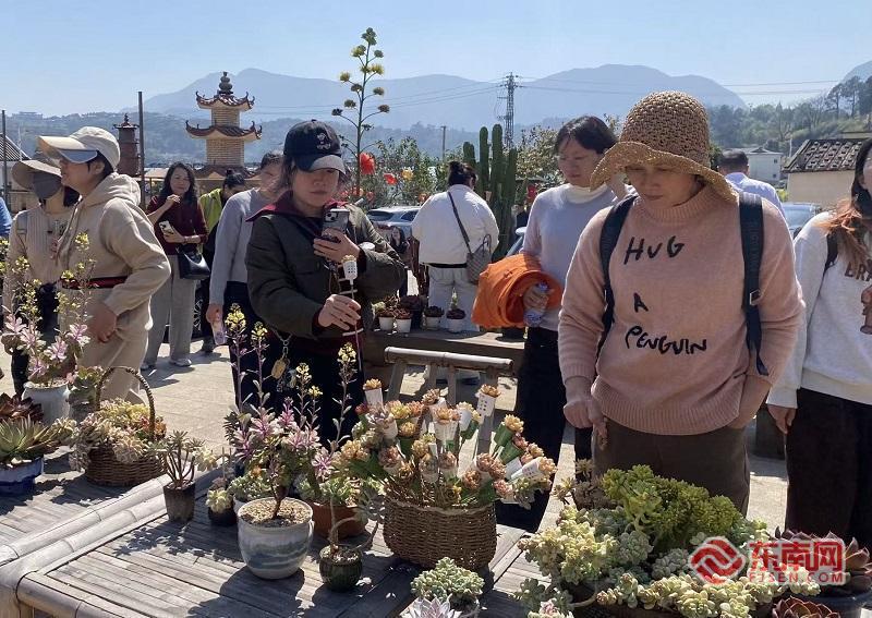 365体育(bet):一座古村落的蝶变:闽台乡建乡创点亮桂林村(图5)