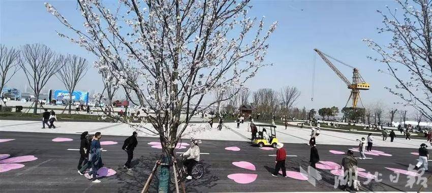 365体育（bet）：全球游客为何奔赴武汉的春天(图1)