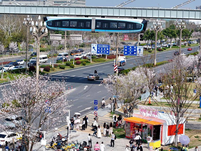 365体育（bet）：全球游客为何奔赴武汉的春天(图2)