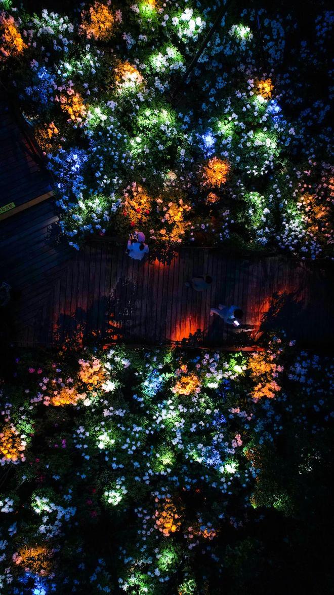 365体育（bet）：中国最强“C”市真正的“C位”(图4)